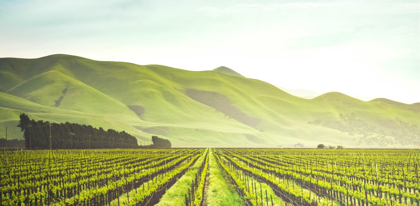 napa valley wine tastings - Wine Paths